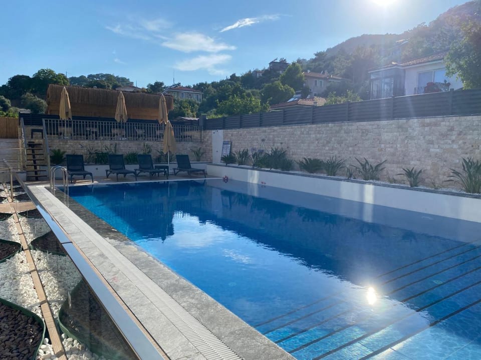 Day, Pool view, Swimming pool, sunbed