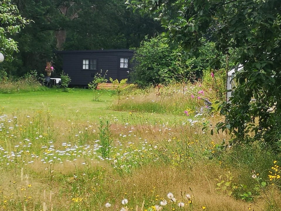 Natural landscape, Garden view
