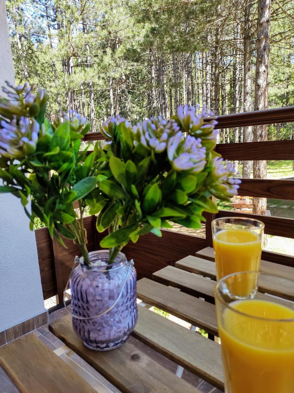 Balcony/Terrace, Mountain view