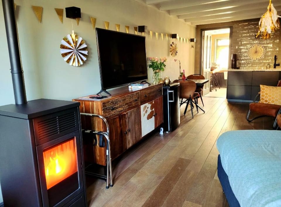 Appartement Guesthouse Het Gouden Eiland Bed and Breakfast in Drenthe (province)