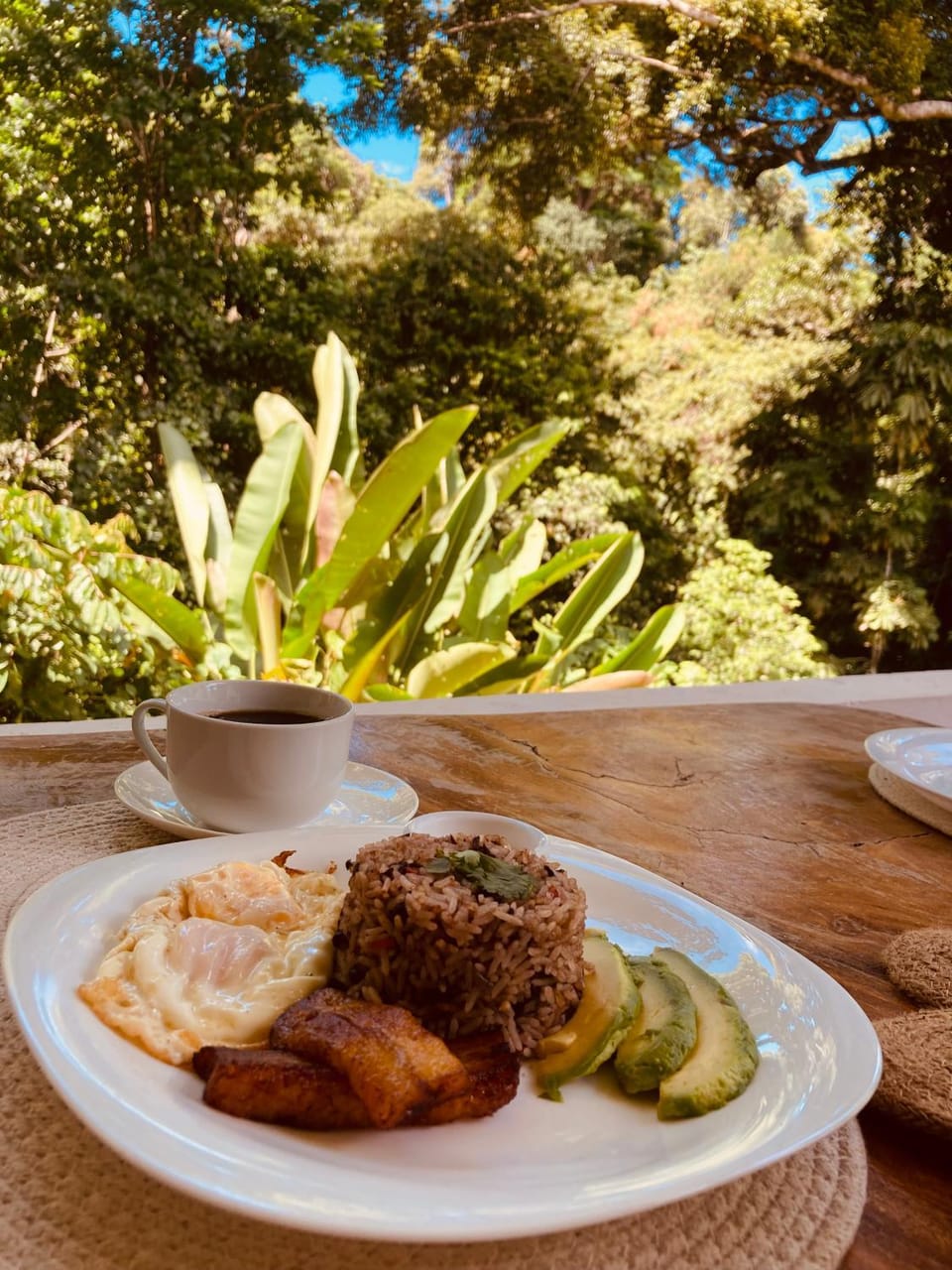 Mountain view, Breakfast