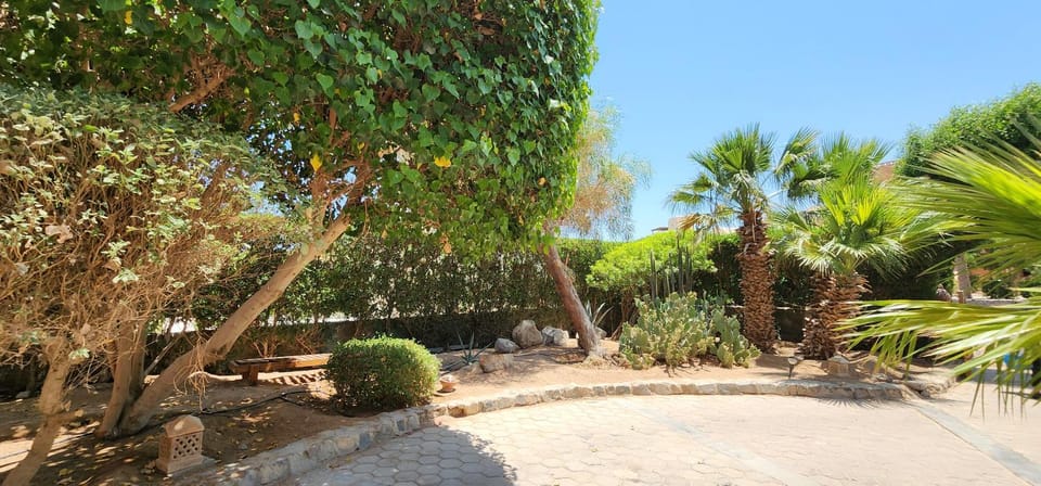 Spring, Day, Garden, Garden view