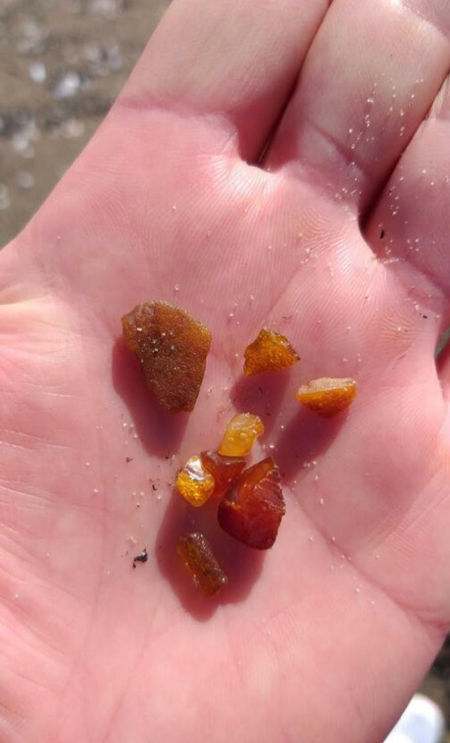 Pokoje Sobie na Wyspie Vacation rental in Gdansk