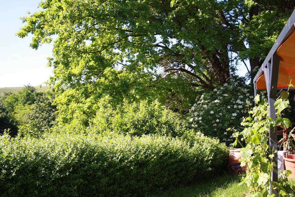 2 Zimmer FeWo mit Außenpool und Sauna Apartment in Hesse