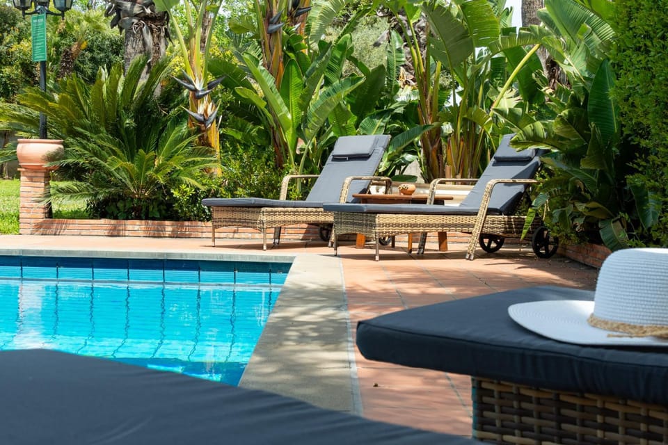 Spring, Pool view, sunbed