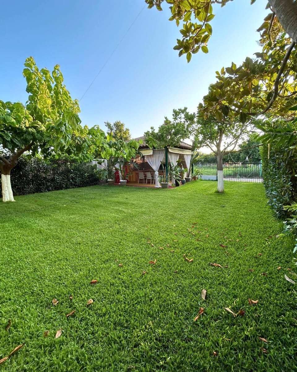 Spring, Day, Natural landscape, Garden, Garden view