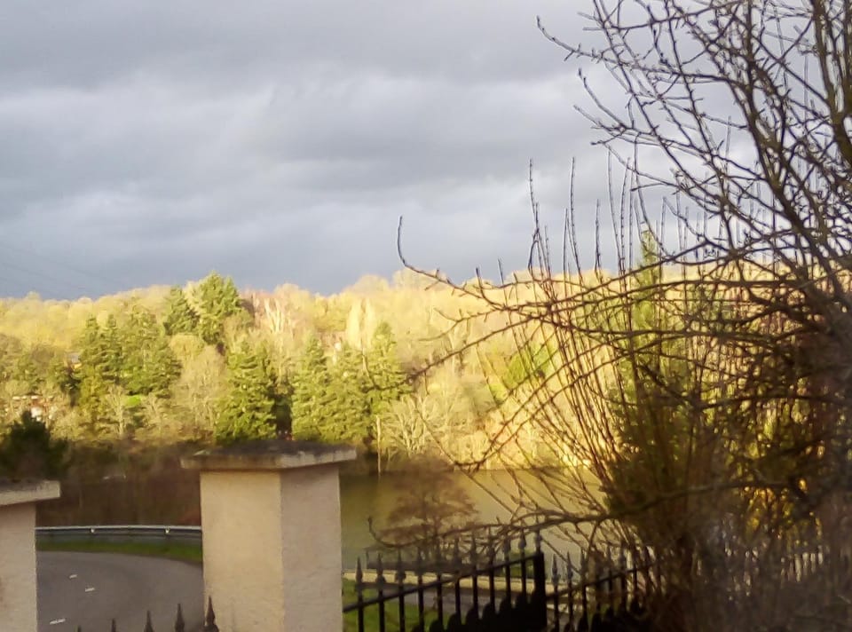 Lake view
