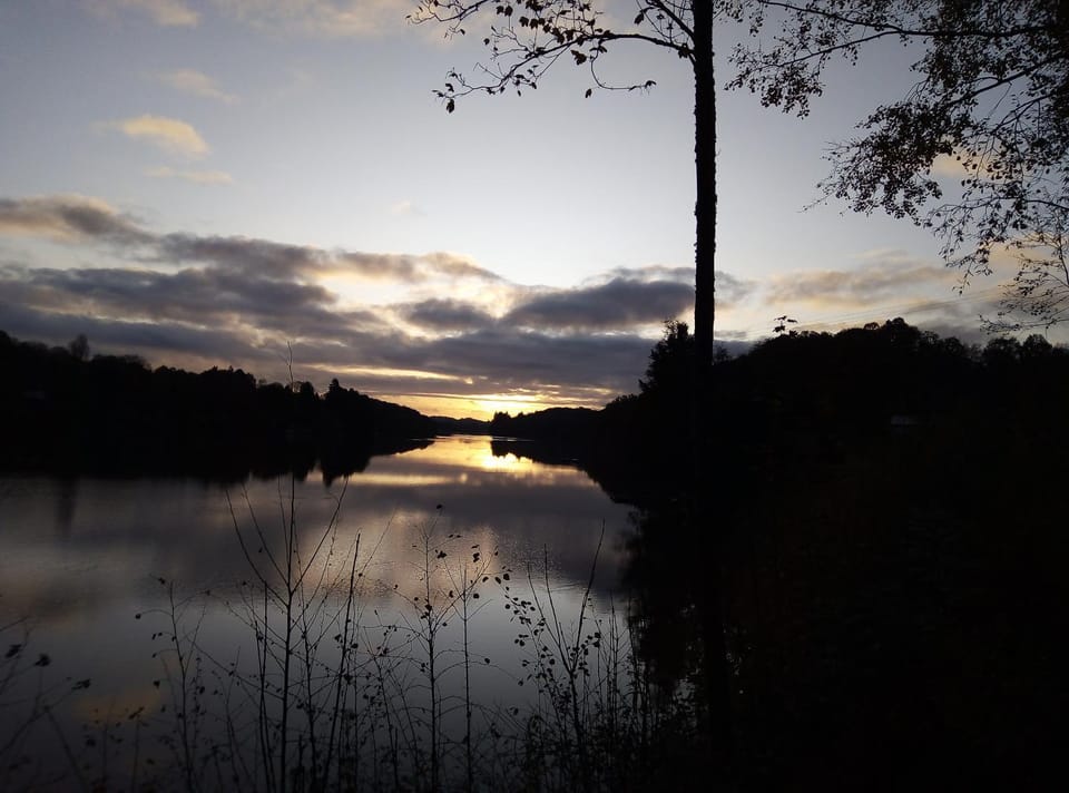 Lake view