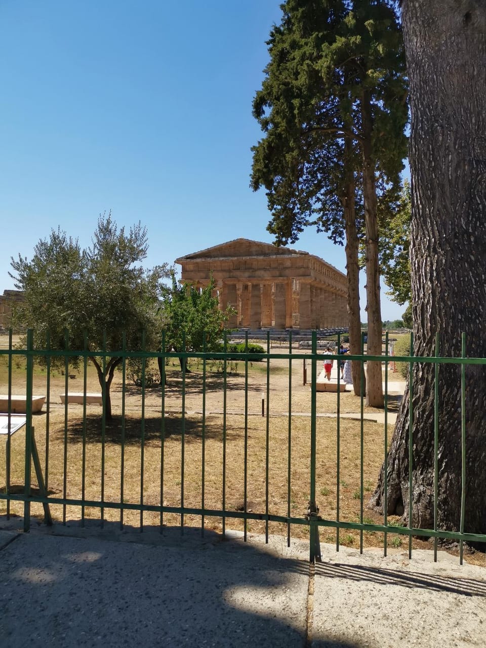 Annina Home Apartment in Campania