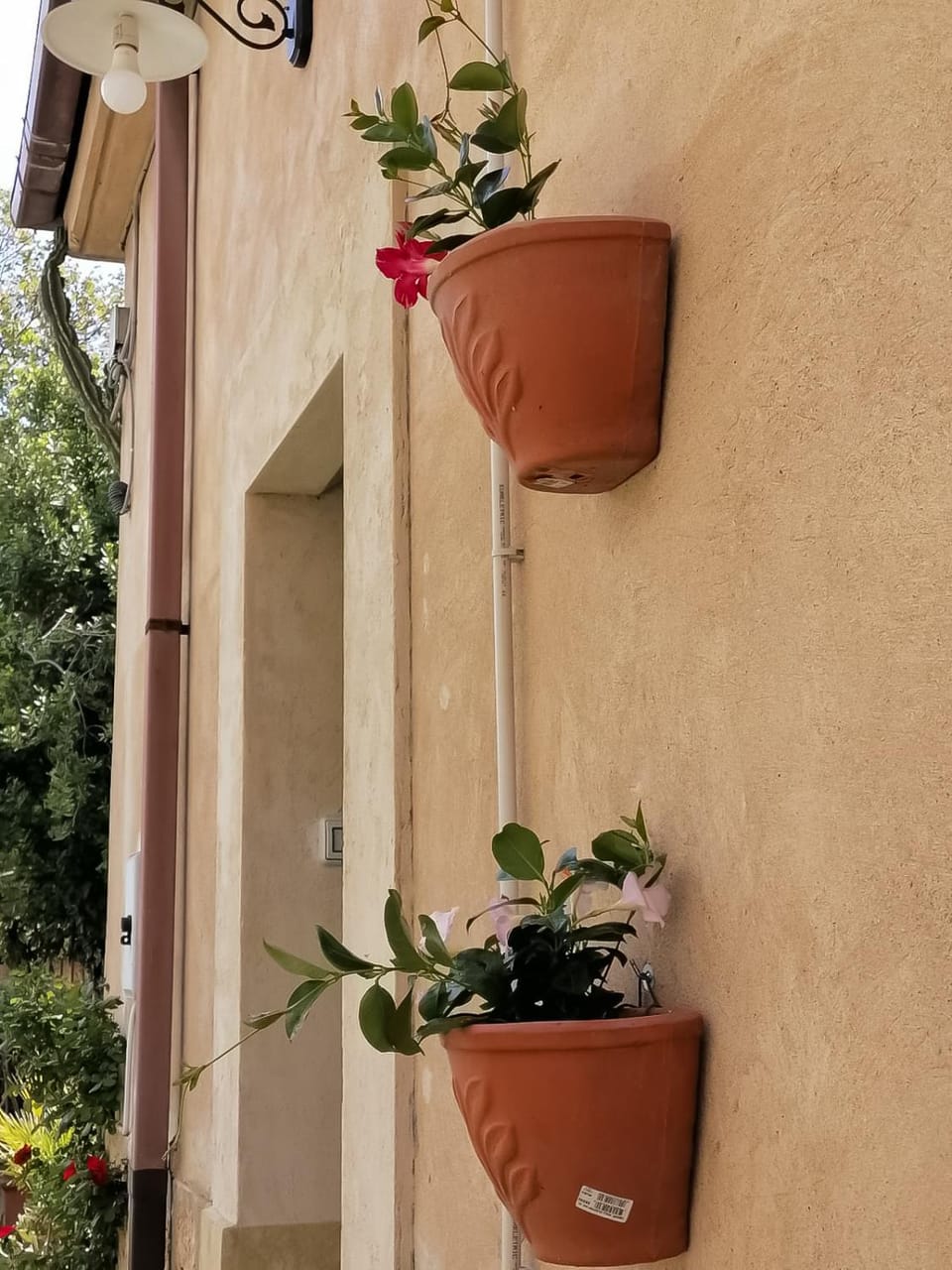Annina Home Apartment in Campania
