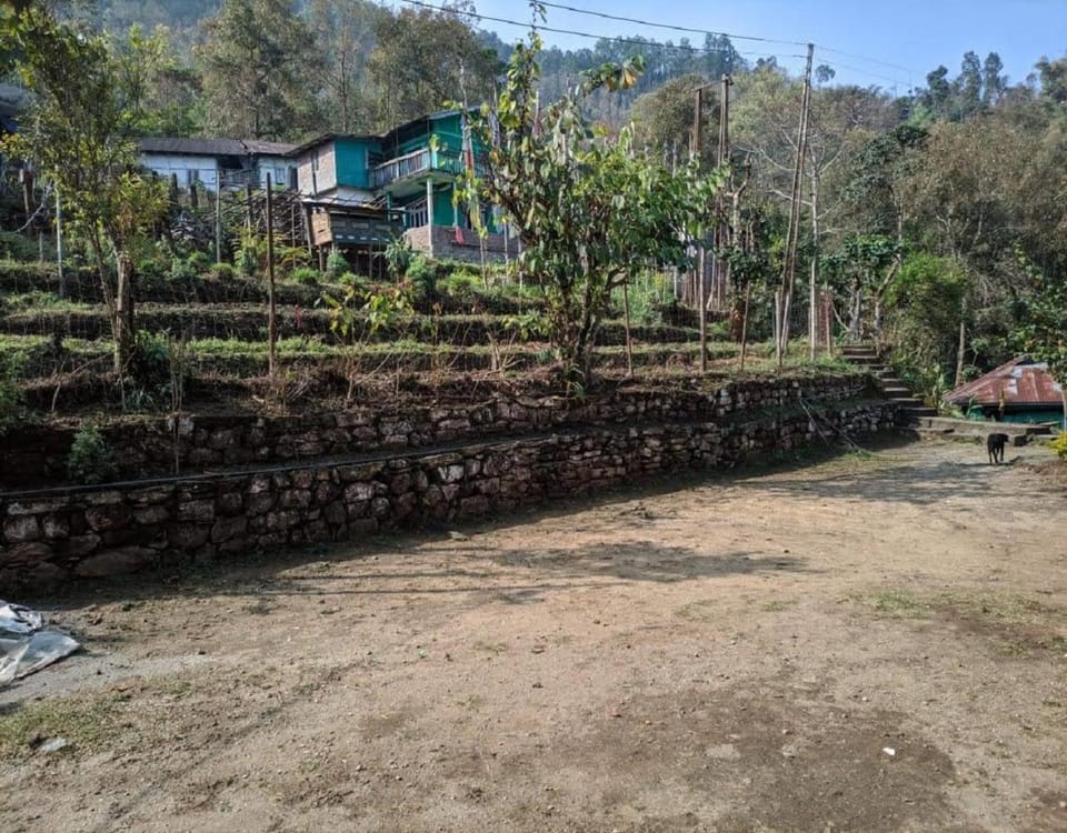 Garden view