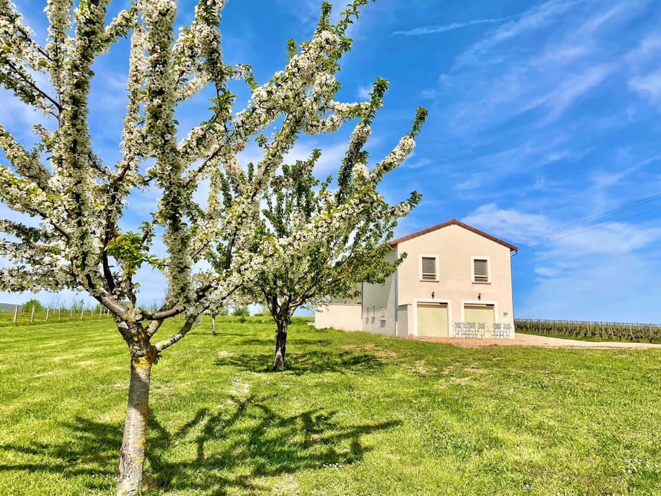 Property building, View (from property/room), Balcony/Terrace, Hiking, Cycling, Garden view, Sunrise, Parking