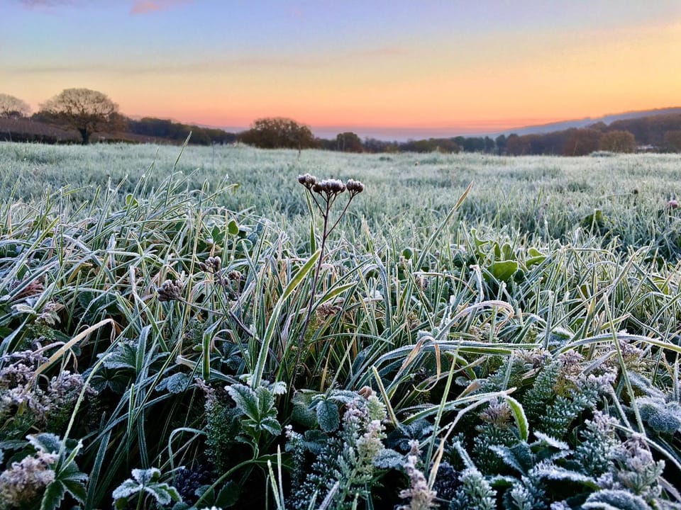 Winter, View (from property/room), Sunrise