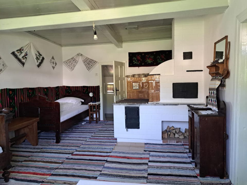 Casa Felicia Bed and Breakfast in Romania