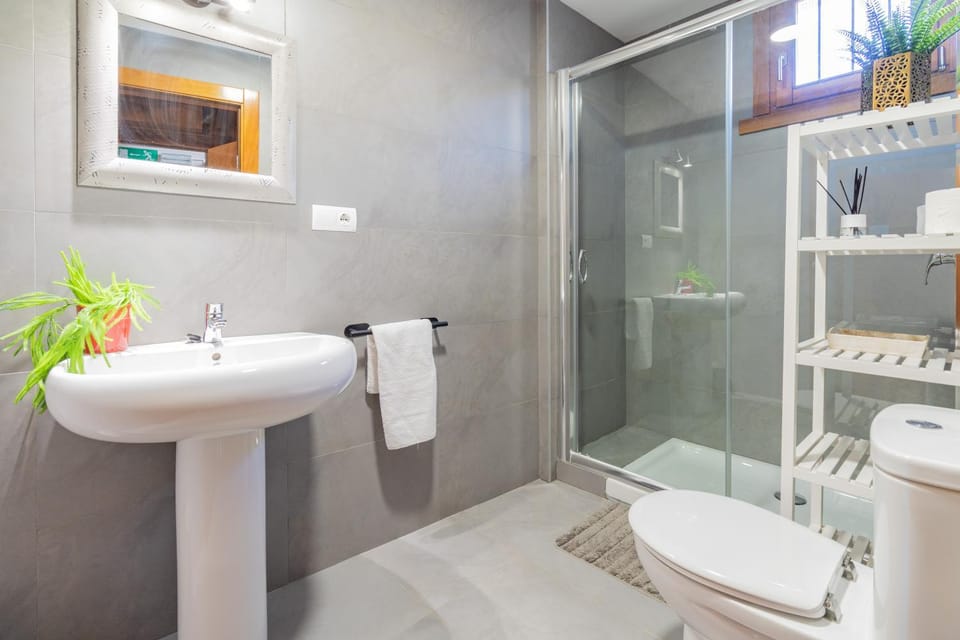 Shower, Toilet, Bathroom, towels