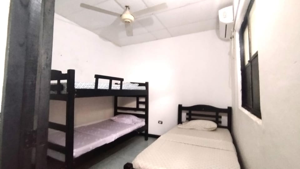 Bed, Photo of the whole room, Bedroom, bunk bed