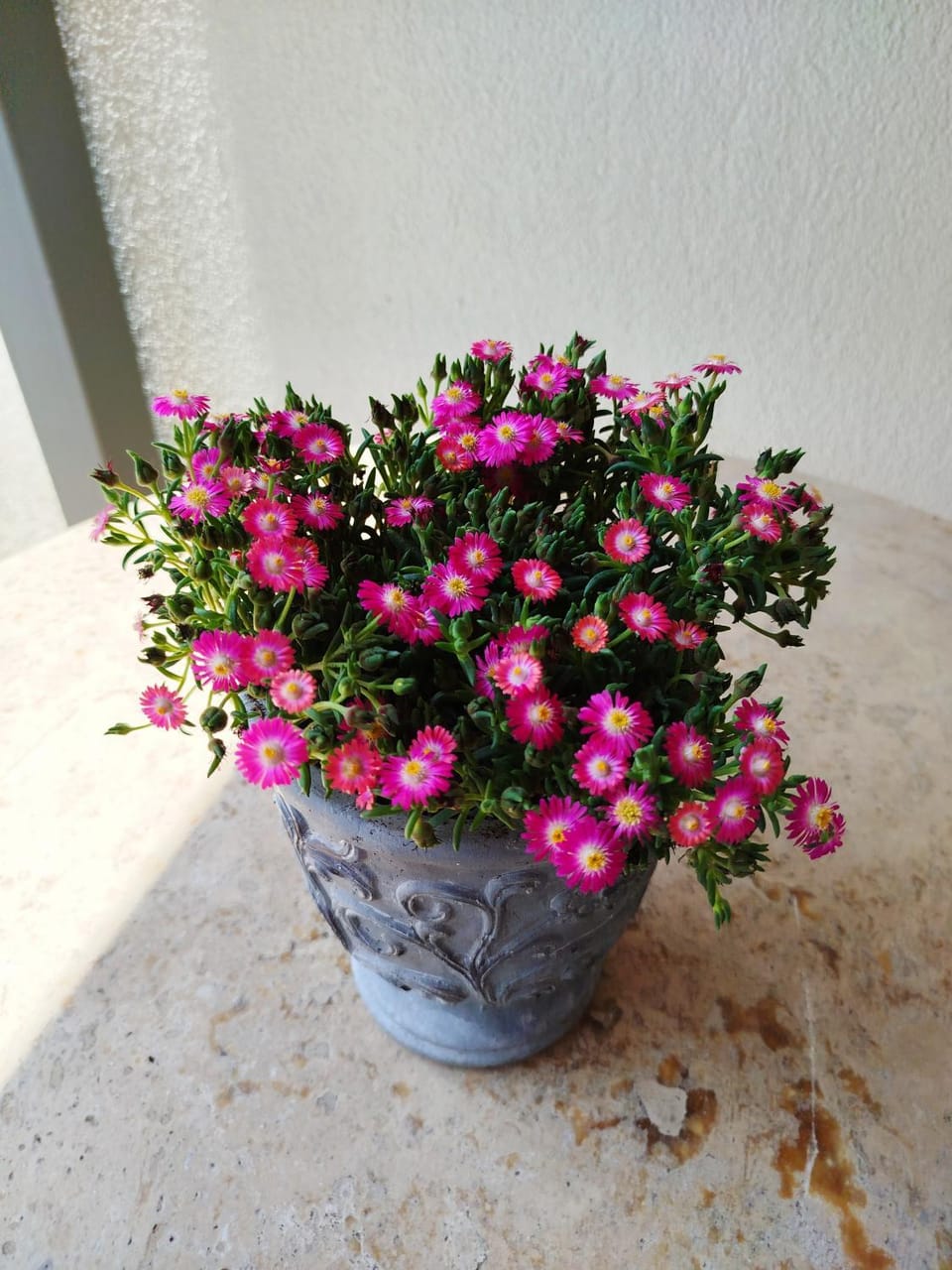 Theano Luxury Suites Nikiti Hotel in Nikiti