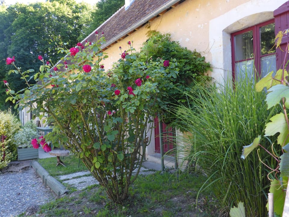 La petite Bardouillère House in Centre-Val de Loire