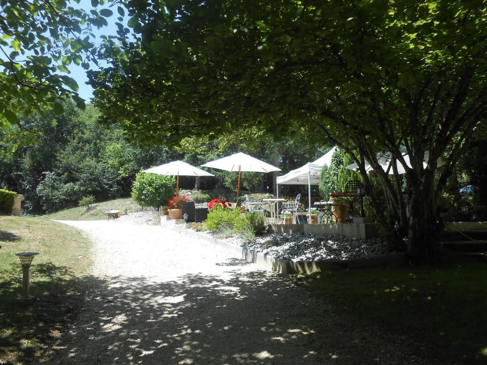 Patio, Garden
