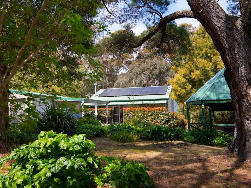 Property building, Garden