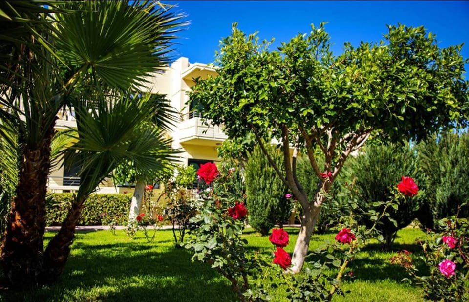 Property building, Garden