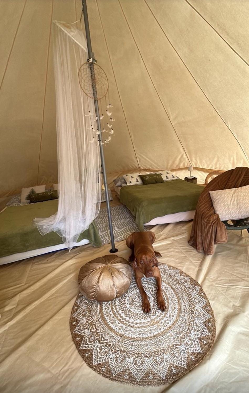 Hillside Bio Glamping Campground/ 
RV Resort in Slovenia