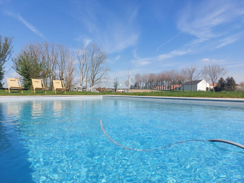 Day, Garden view, Garden view, Pool view, Swimming pool, Swimming pool, sunbed, sunbed