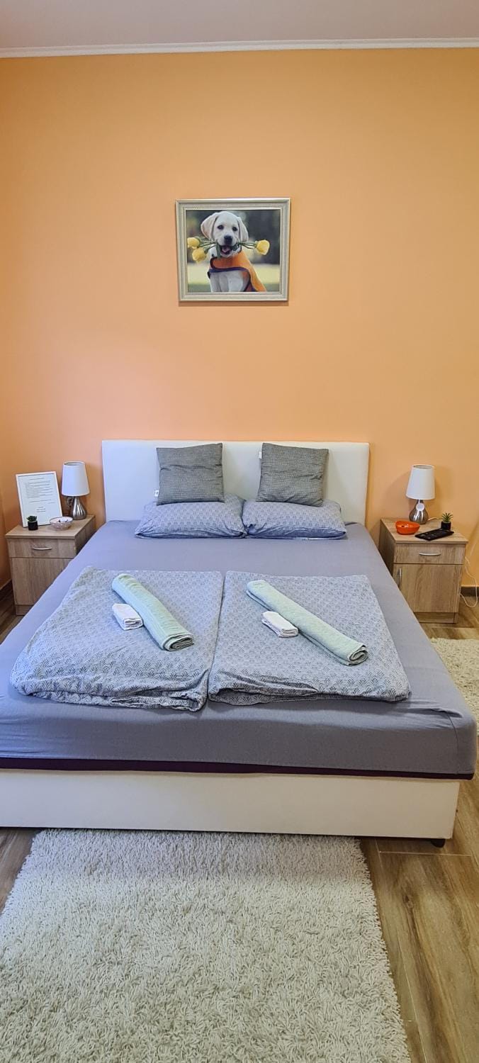 ALES apartman Apartment in Vojvodina