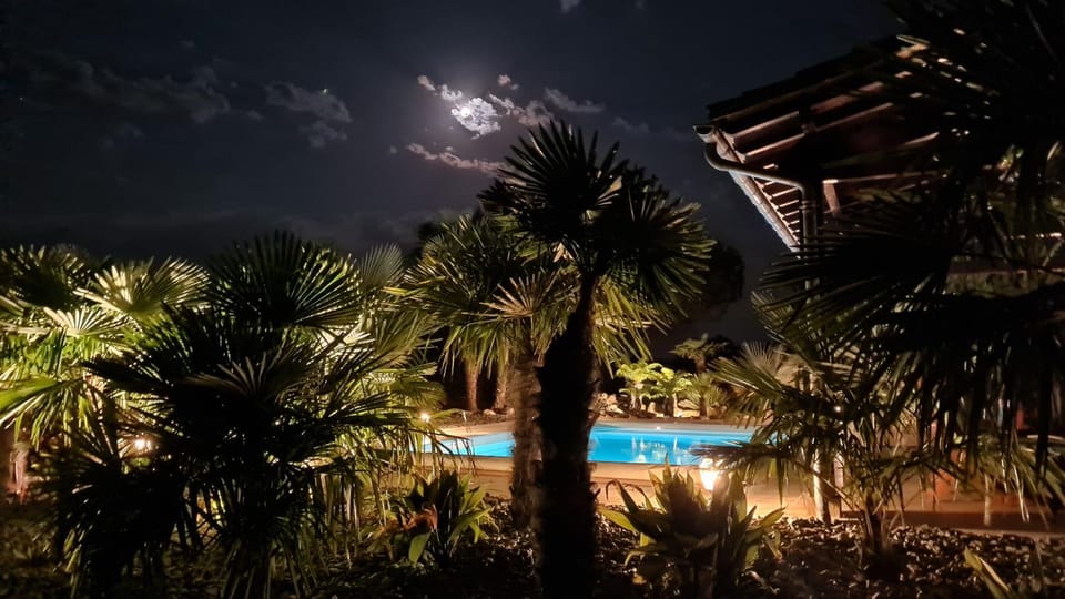 Garden view, Swimming pool