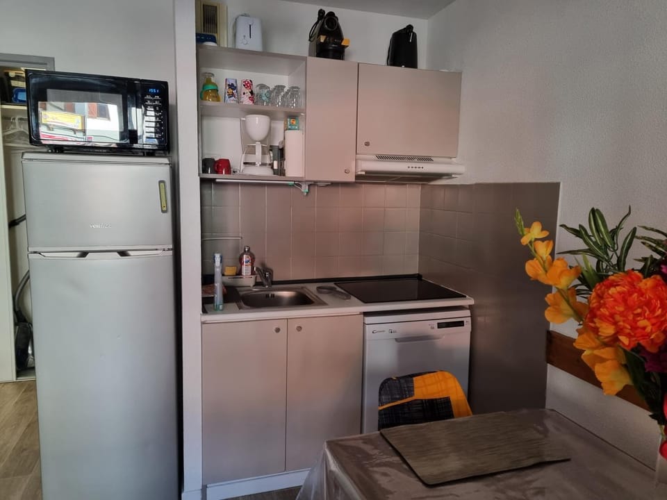 Kitchen or kitchenette, dishwasher, pet friendly