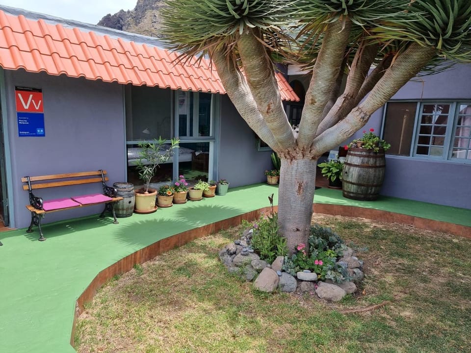 Garden view