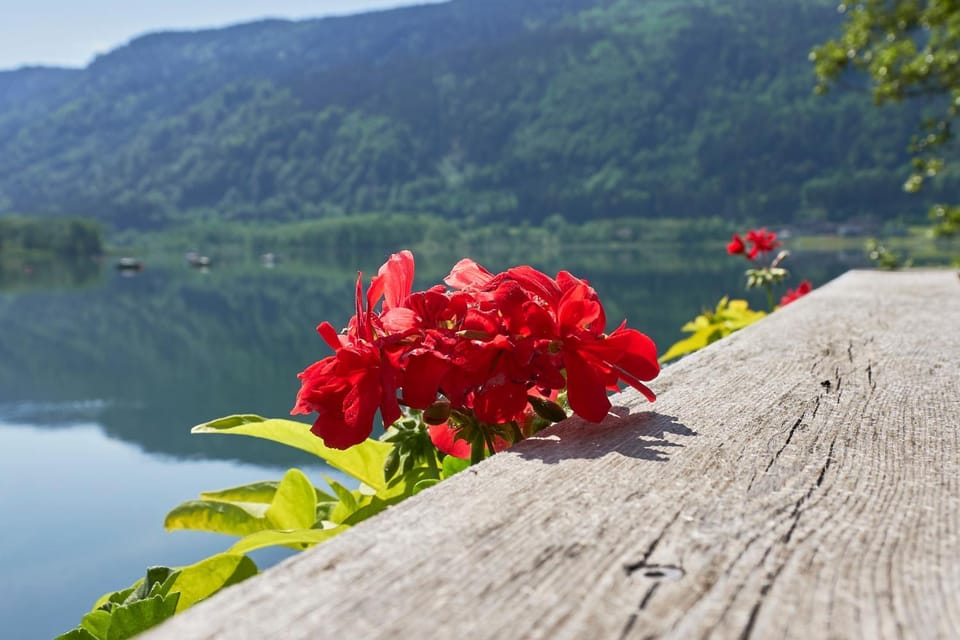 Seehaus direkt am Ossiachersee Apartment in Carinthia, Austria