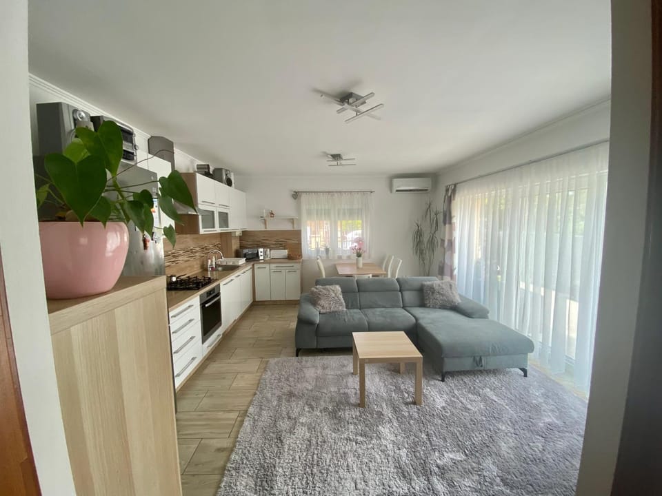 Kitchen or kitchenette, Living room, kitchen