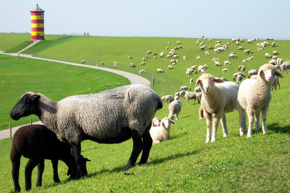 Nearby landmark, Hiking, Animals, Area and facilities