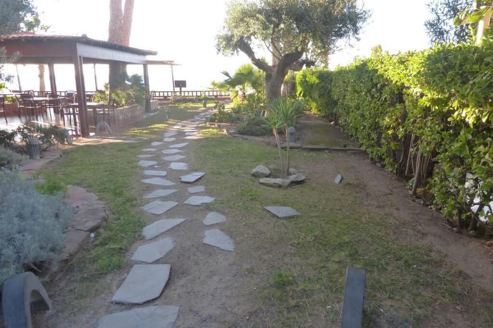 Natural landscape, Garden view