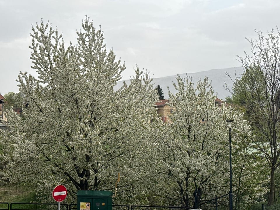Spring, Day, Natural landscape, Mountain view