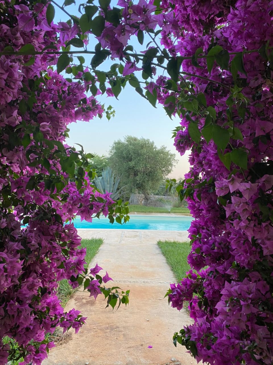 Luxury Villa Mariachiara Villa in Apulia