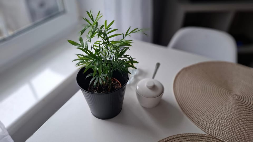 Apartament Radosna Apartment in Pomeranian Voivodeship