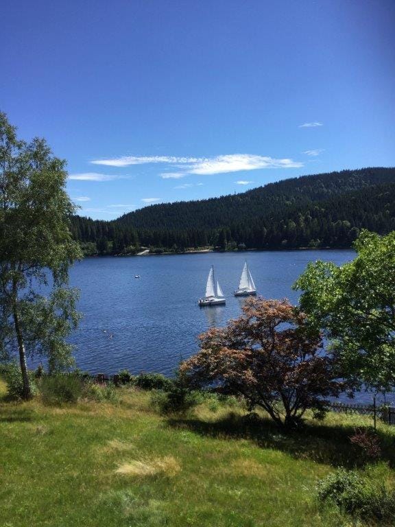 Lake view