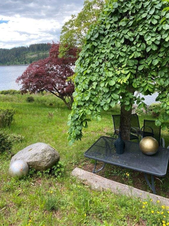 Garden view