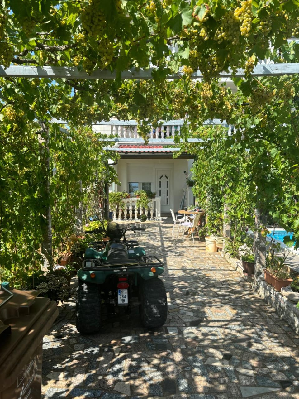 Spring, Day, Garden, Garden view
