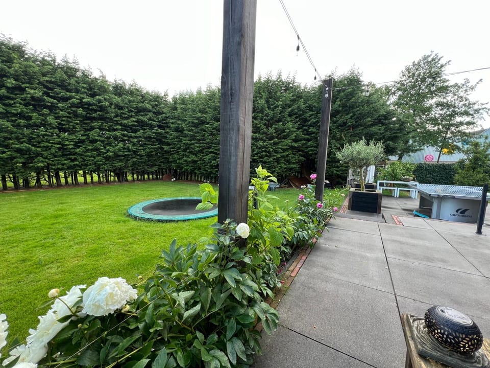 Paauwze Bed and Breakfast in South Holland (province)