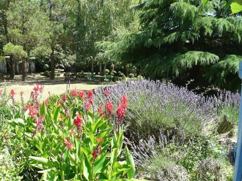 Villa L'ESTRADE Villa in Occitanie