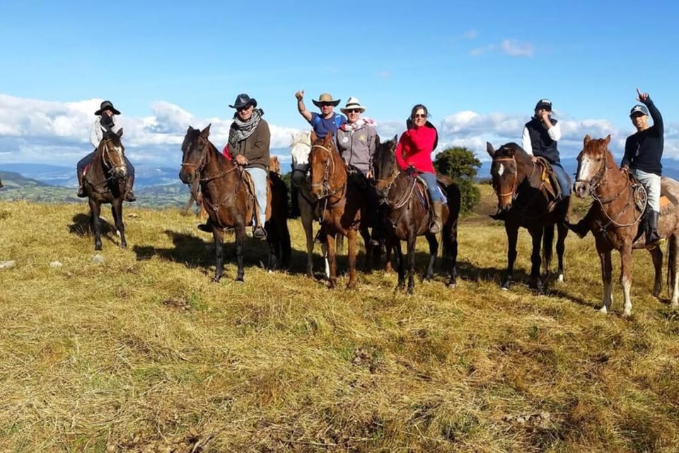 Horse-riding, Animals