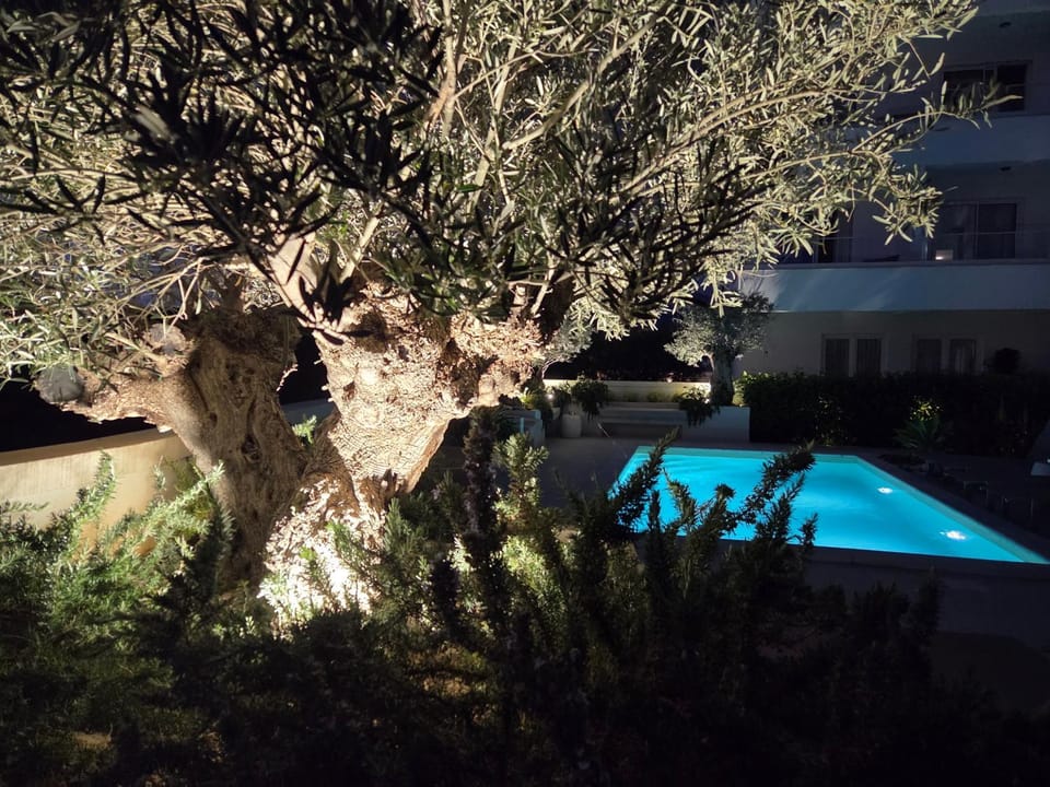 Garden, Swimming pool