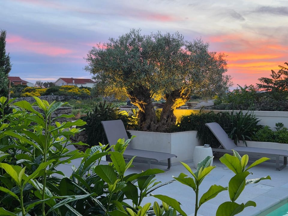 Garden view, Sunset