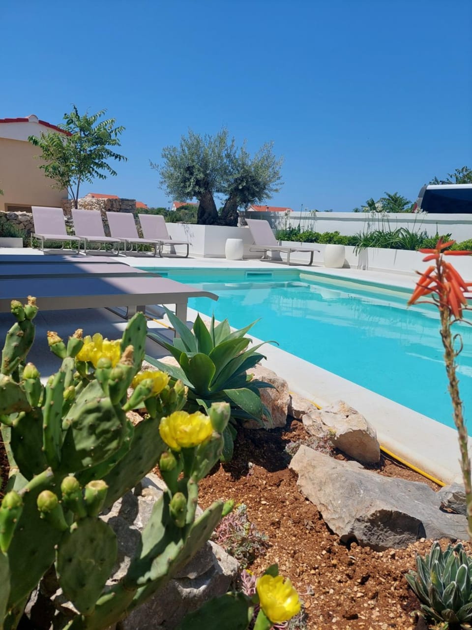 Day, Garden, Swimming pool