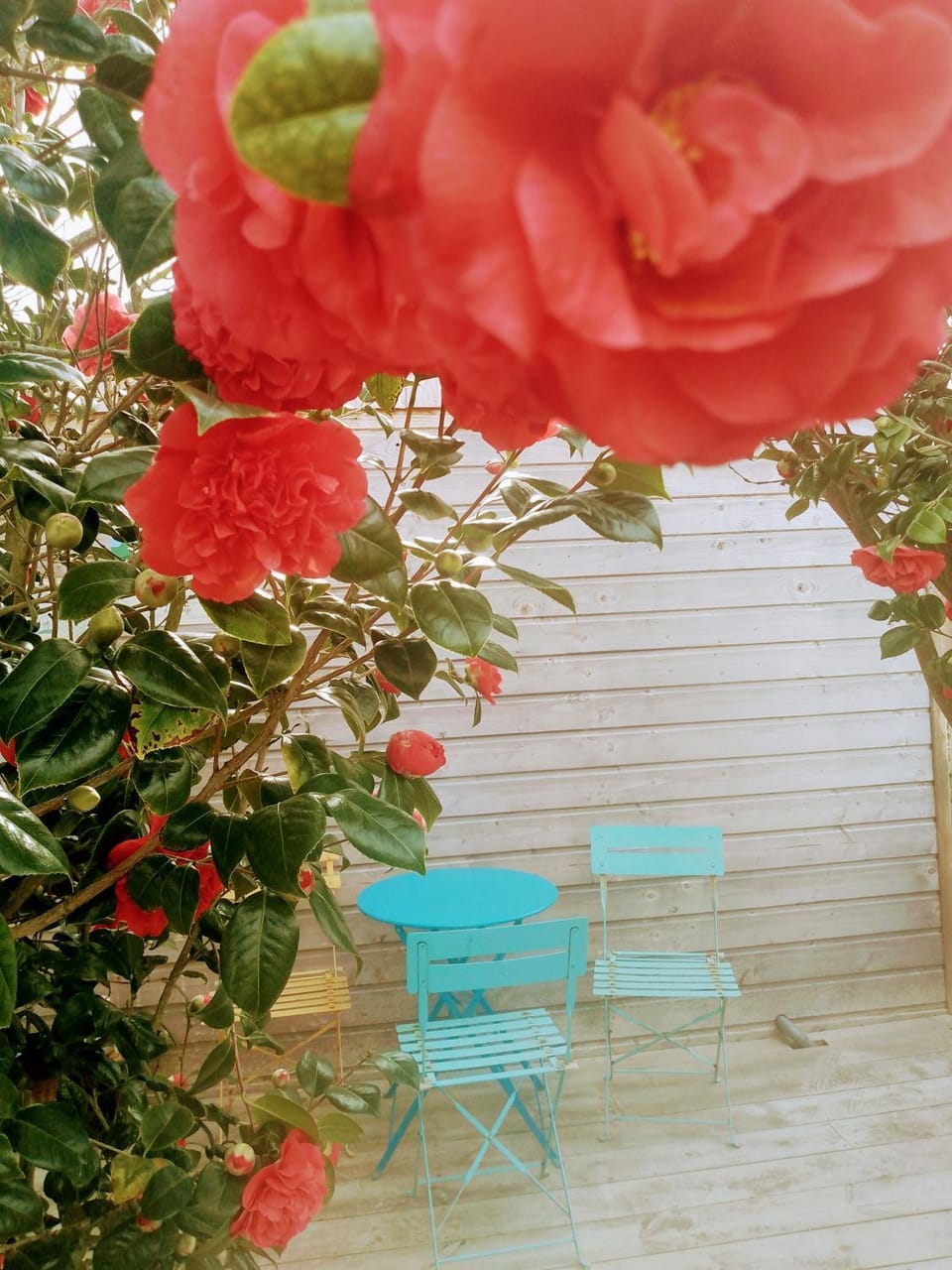 O Douceurs Sucrées Cabourg Bed and Breakfast in Cabourg