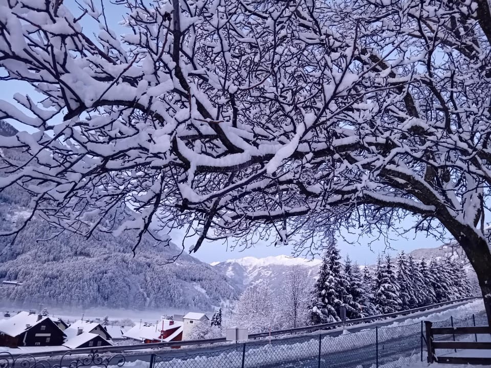 Day, Natural landscape, Winter