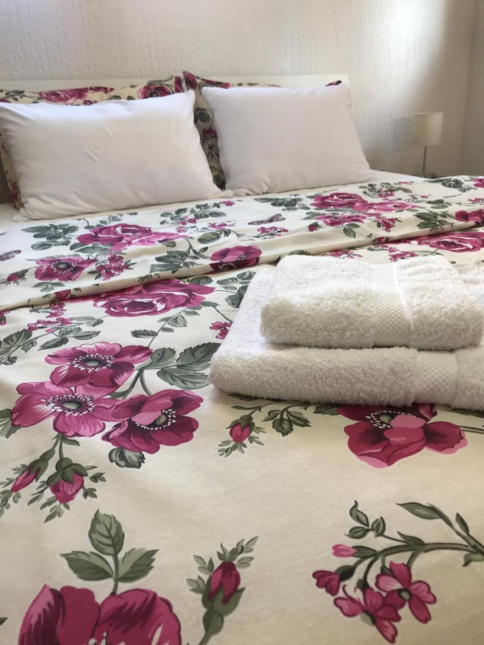 Apartman studio Milojkovic Apartment in Serbia